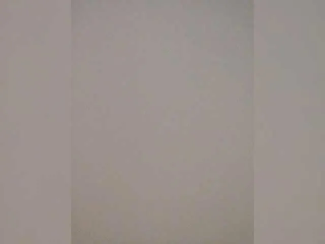 JessieLiu – webcam model profile photo Image 6