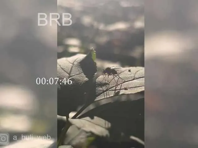 Carla – webcam model profile photo Image 9