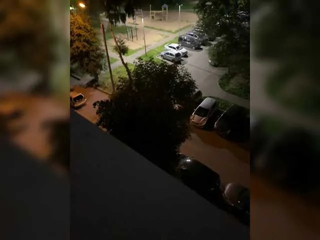 HaleyLyon – webcam model profile photo Image 2