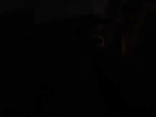 Koketka – webcam model profile photo Image 2