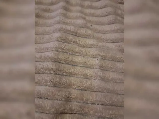 SherineNorth – webcam model profile photo Image 2