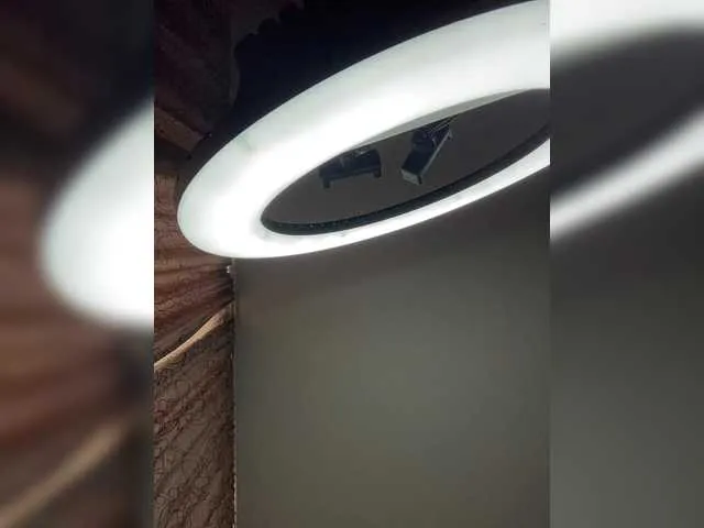 PollyElfi – webcam model profile photo Image 5