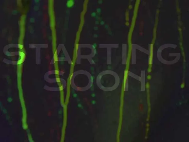 _Alicee_1 – webcam model profile photo Image 5