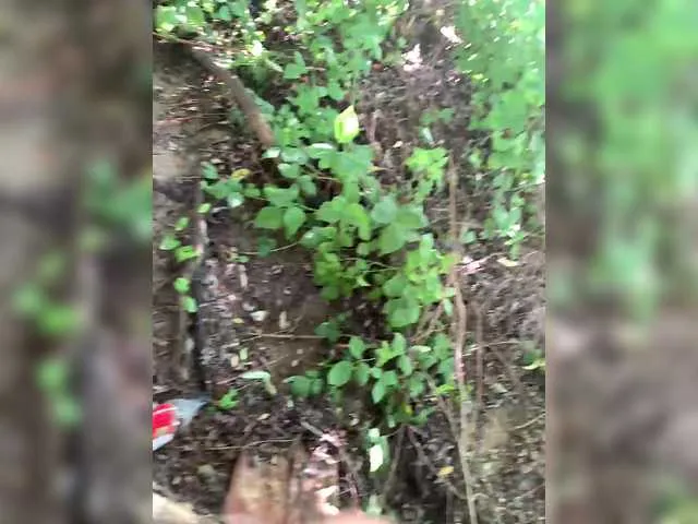 HaleyLyon – webcam model profile photo Image 6