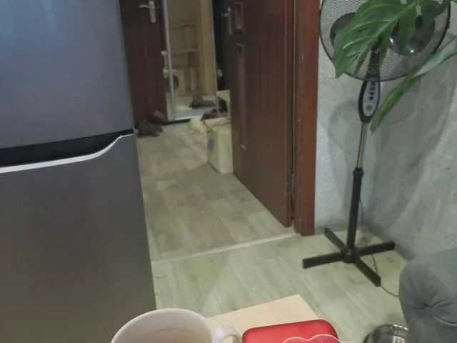 CatalinaDalessio – webcam model profile photo Image 8