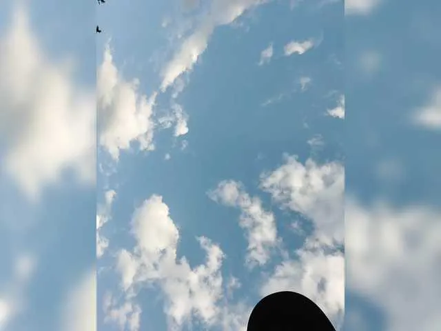 SinCityDoll – webcam model profile photo Image 10