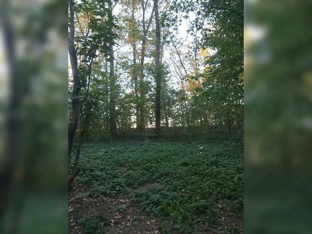 Velvet__vibe – webcam model profile photo Image 18