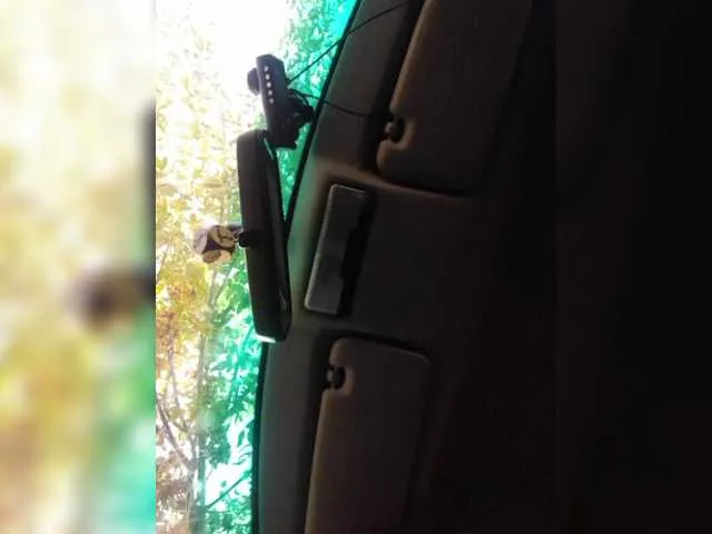 VallieBrandwein – webcam model profile photo Image 18