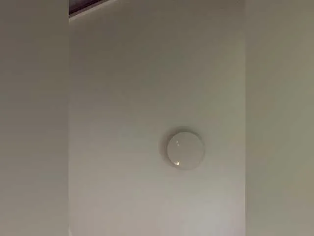 VenusRusell – webcam model profile photo Image 17