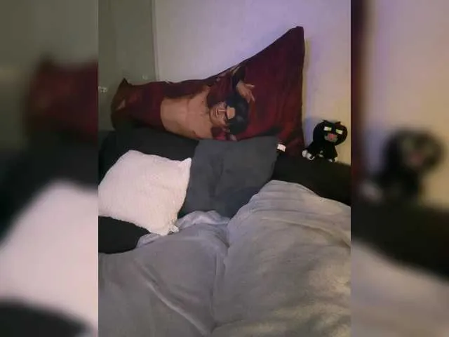 VenusRusell – webcam model profile photo Image 5