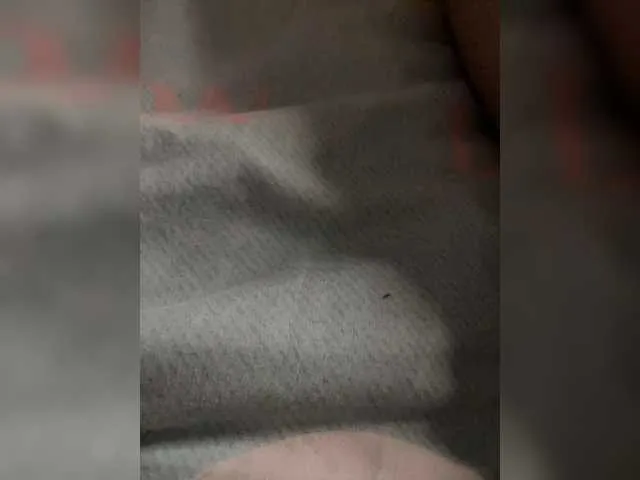 VIKITOMMY – webcam model profile photo Image 4