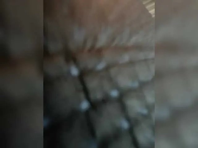 VIKITOMMY – webcam model profile photo Image 9