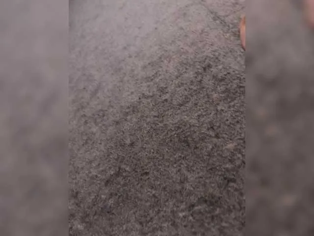 MadelineLane – webcam model profile photo Image 16