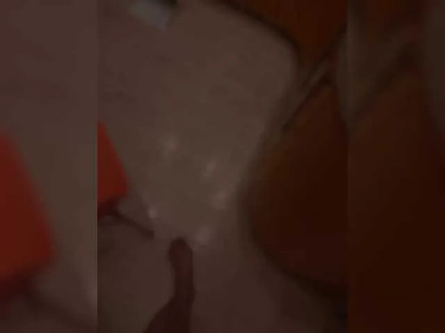 Bella – webcam model profile photo Image 7