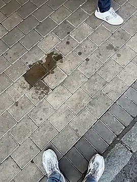 AyshaConnor – webcam model profile photo Image 19