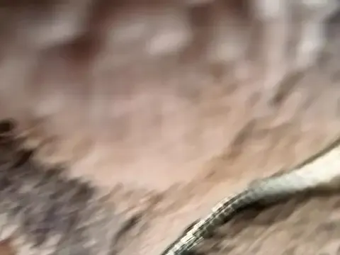 markAndhella – webcam model profile photo Image 4