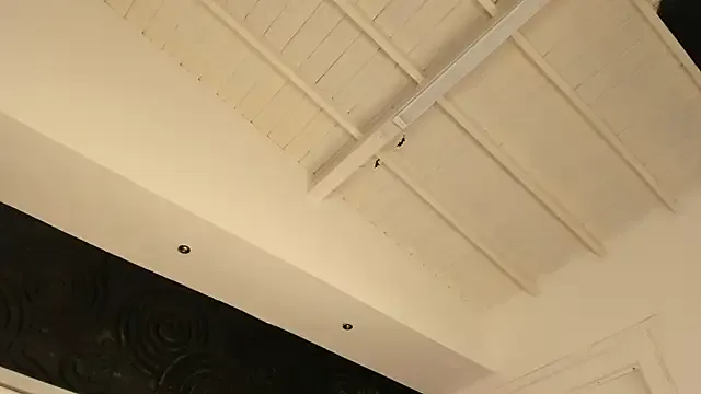 MollyBoston – webcam model profile photo Image 6