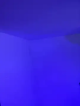 EwaBrown – webcam model profile photo Image 3