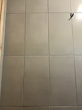 AyshaConnor – webcam model profile photo Image 12