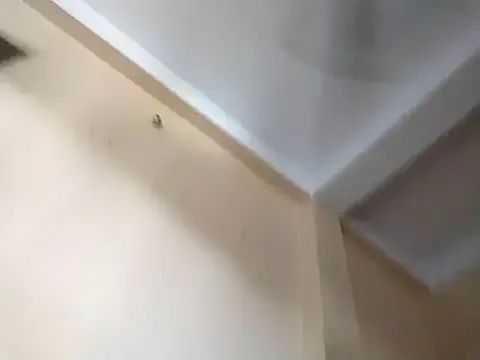 EvaOllin – webcam model profile photo Image 2