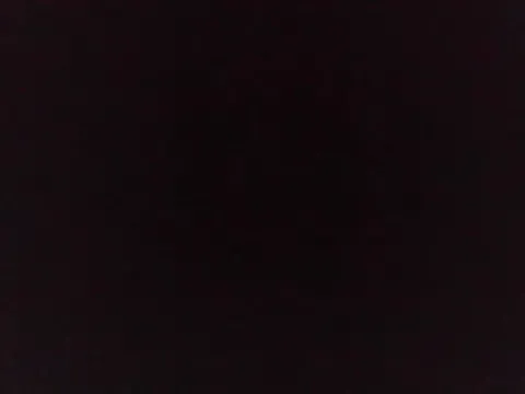 HaleyLyon – webcam model profile photo Image 10