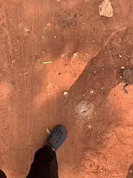 Dolce – webcam model profile photo Image 4