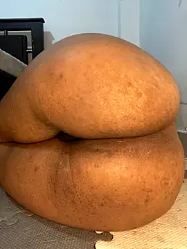 HaleyLyon – webcam model profile photo Image 12