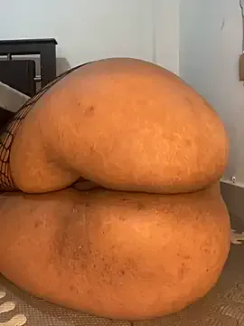 HaleyLyon – webcam model profile photo Image 3