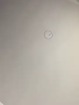 EsmeBrowm – webcam model profile photo Image 14