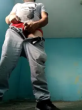 Dolce – webcam model profile photo Image 5