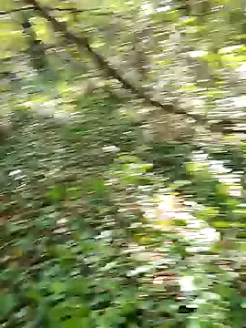 Carine – webcam model profile photo Image 16