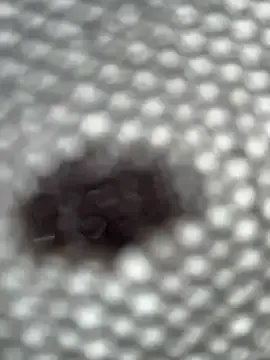 HannaMo – webcam model profile photo Image 14