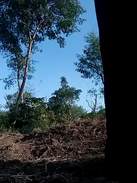 HaleyLyon – webcam model profile photo Image 13