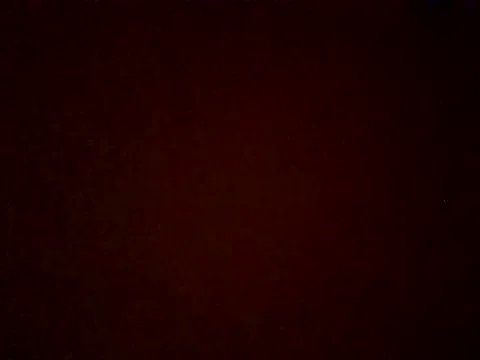 Dolce – webcam model profile photo Image 16