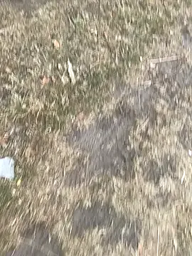 AnnieArias – webcam model profile photo Image 6