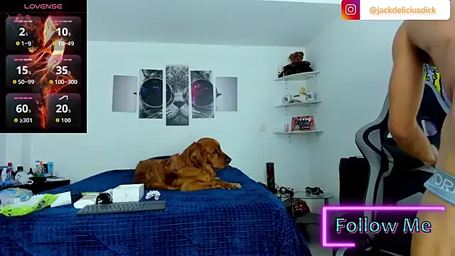 Dolce – webcam model profile photo Image 19