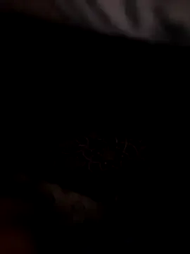 OliviaLifton – webcam model profile photo Image 12