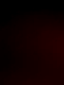 HaleyLyon – webcam model profile photo Image 10