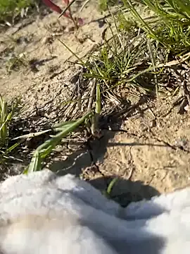 hina-Gcup – webcam model profile photo Image 3