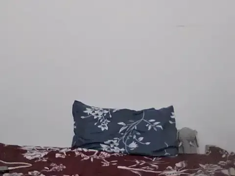 Dolce – webcam model profile photo Image 4