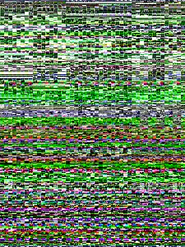 EvanyaRose – webcam model profile photo Image 15