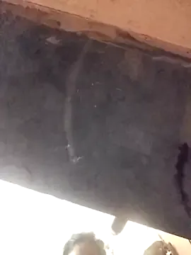 LeyahSummer – webcam model profile photo Image 5