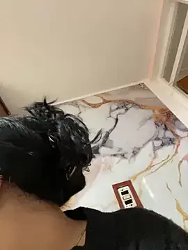 Dolce – webcam model profile photo Image 15