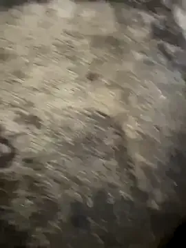 SherineNorth – webcam model profile photo Image 5