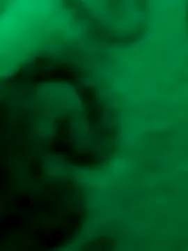 CatalinaDalessio – webcam model profile photo Image 2