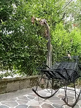 Dolce – webcam model profile photo Image 3