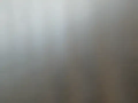 SarithaBroun – webcam model profile photo Image 15