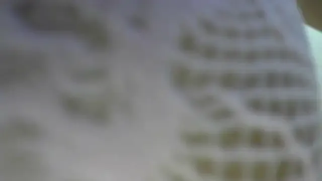 IvyHarpers – webcam model profile photo Image 17