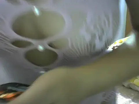 IvyHarpers – webcam model profile photo Image 7