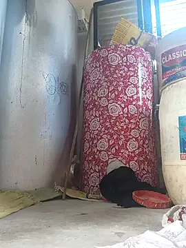 BeatriceVazqueze – webcam model profile photo Image 8